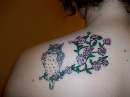 So, here's a picture of my owl tattoo, inked into my skin in November 2008, 